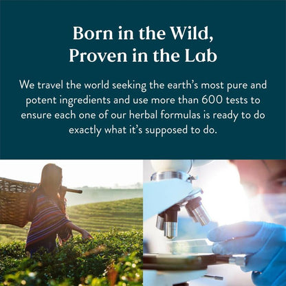 LymphaFlow Lymphatic Drainage Supplement